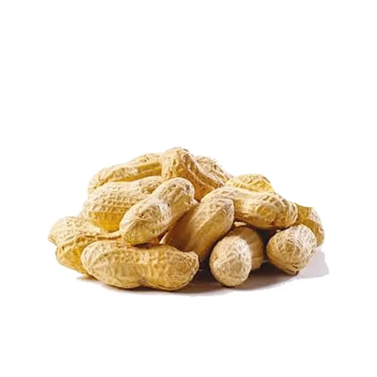 Peanut Whole (Sabut Moong Phali) 250g